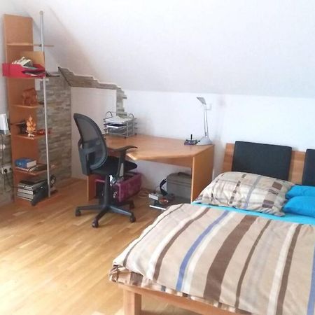 Neue, Helle Wohnung In Ludwigsburg, Nah Am Schloss Экстерьер фото